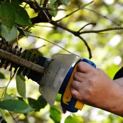 BRUSH CLEARING